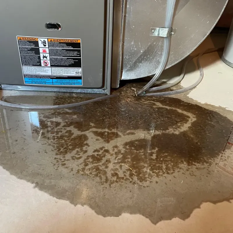 Appliance Leak Cleanup in Emerson, GA