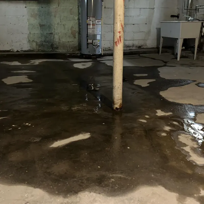 Emergency Water Extraction And Removal in Emerson, GA